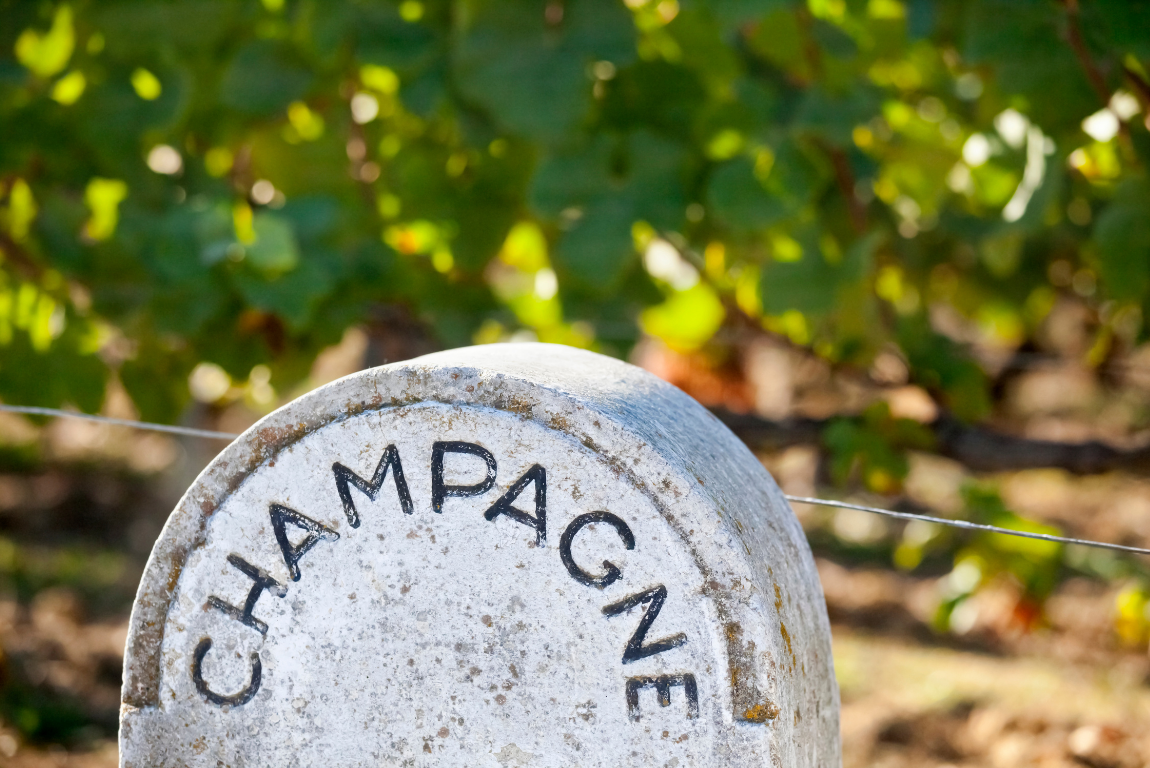 Champagne: Sculpted Vineyards and Sparkling Landscapes