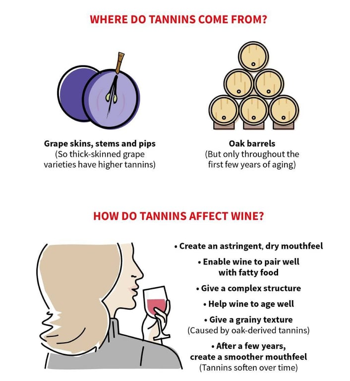 What are tannins in Bordeaux wine