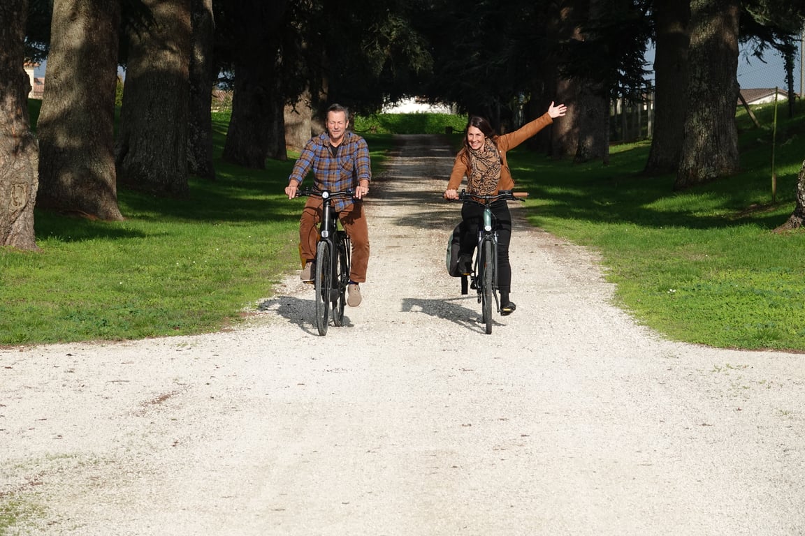 Romantic cycle through the vineyards