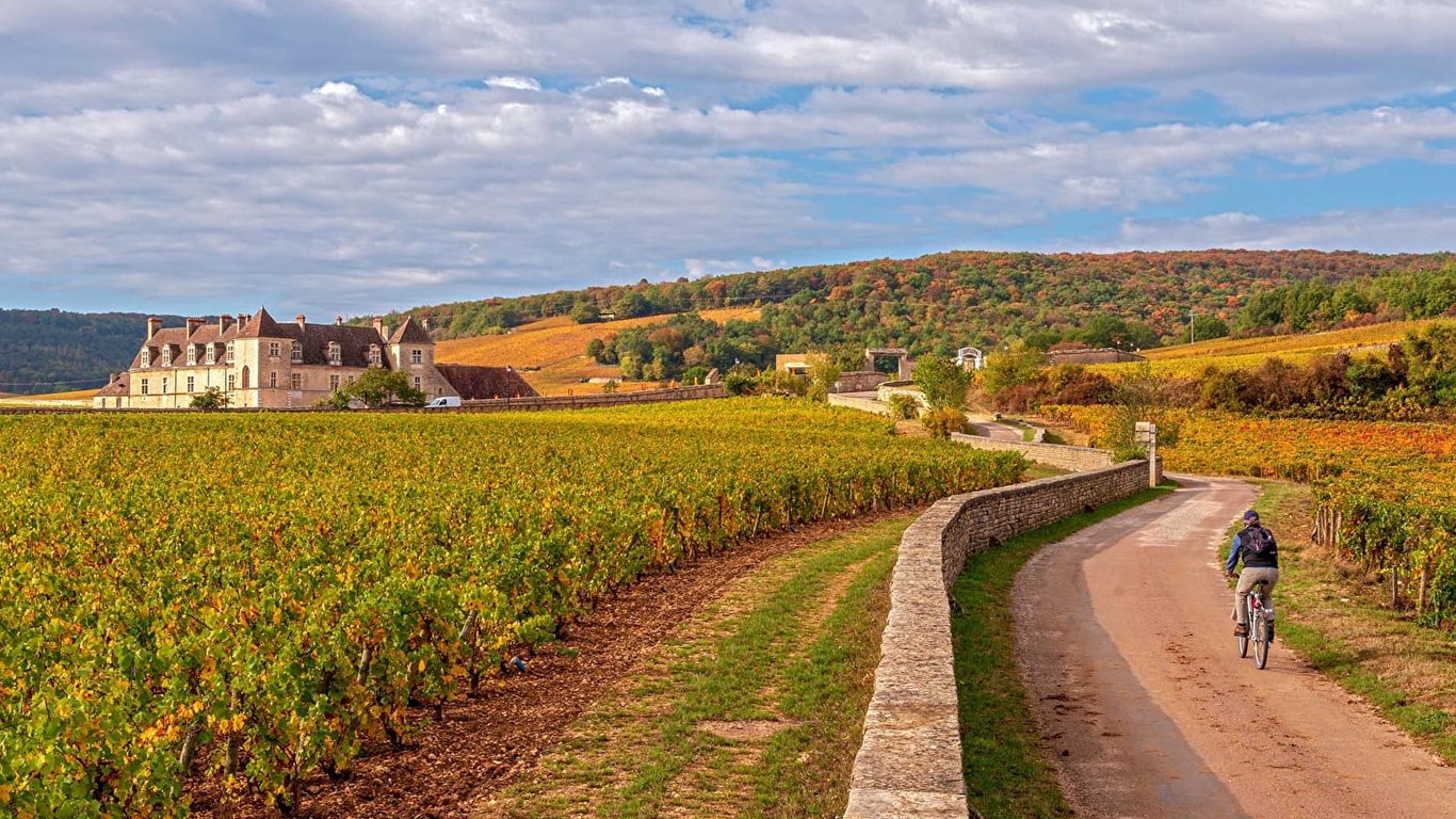 Burgundy: Linear Terroir and the Discipline of Detail
