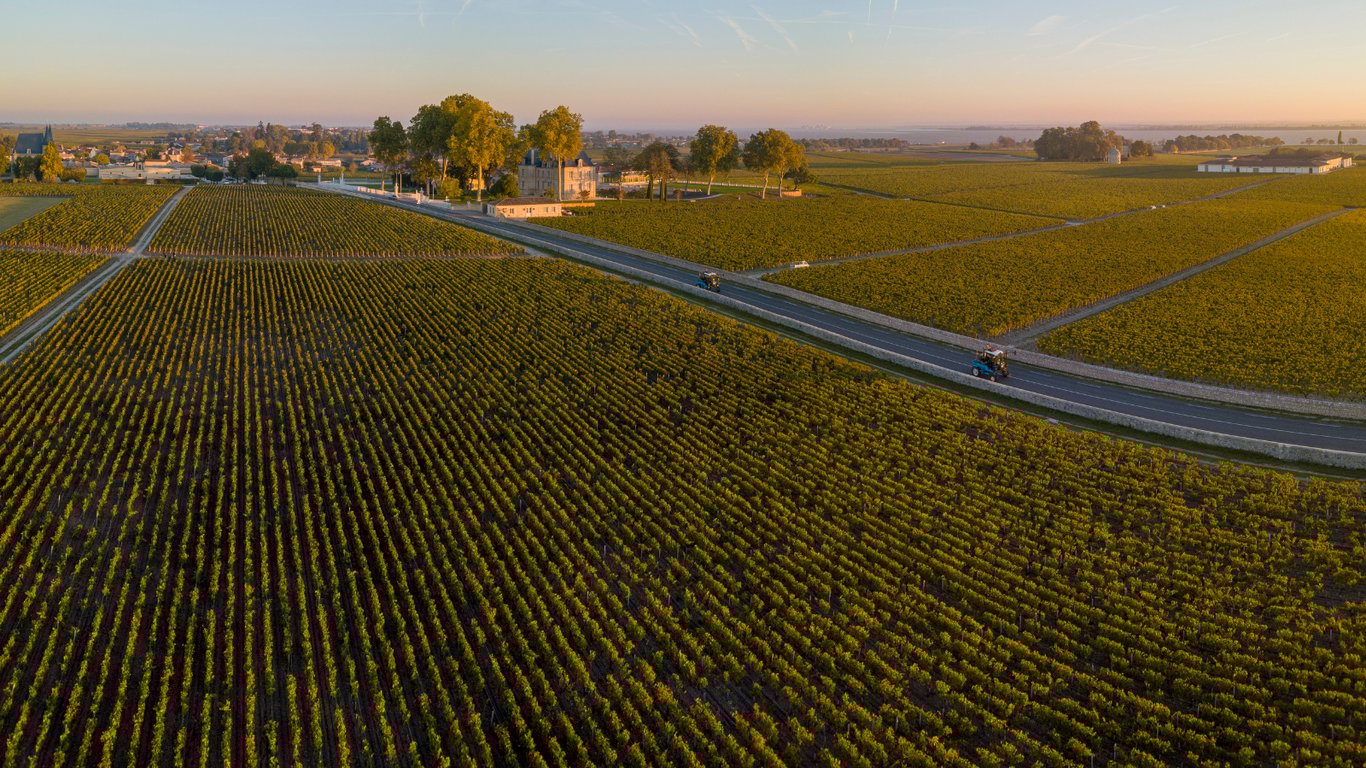 Why Bordeaux Does Not Follow a Classic Wine Route Model