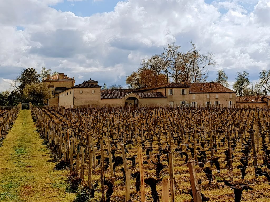 Viticulture and Precision in Modern Figeac