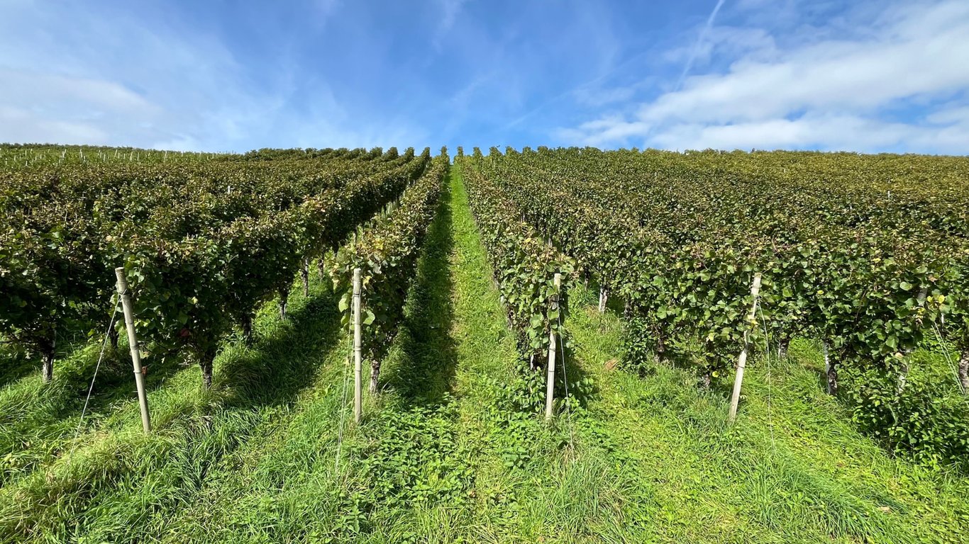 Climate Variation Adds Complexity