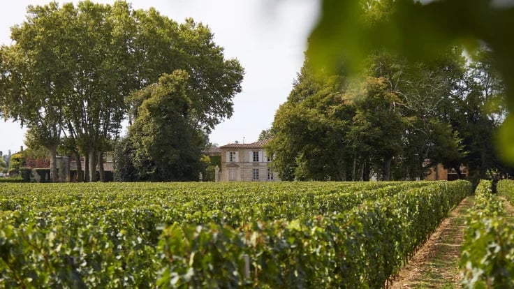 Graves Today: A Region of Substance, Not Spectacle