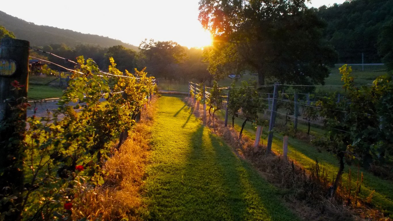 Structuring a Serious Multi-Day Bordeaux Wine Route