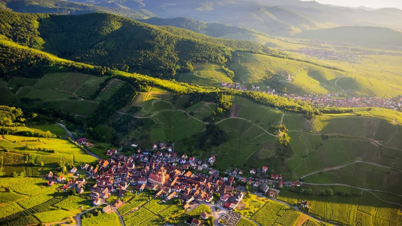 Alsace: Varietal Clarity and Cultural Identity