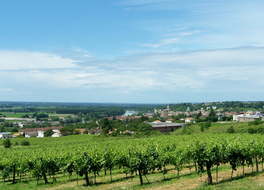 A wine-focused explanation of Entre-Deux-Mers, its terroir, wines, and role within the Bordeaux wine region.