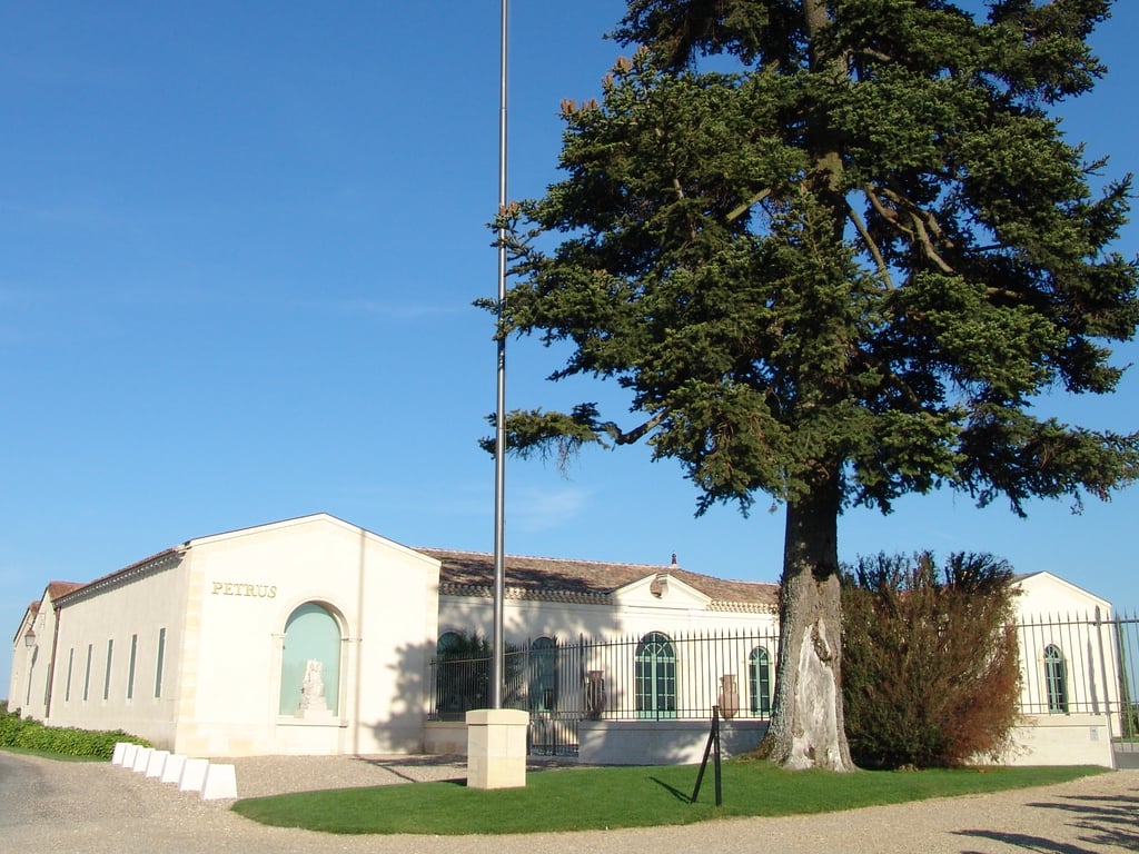 Explore how Château Pétrus rose from modest beginnings to global prestige through terroir, scarcity, and market evolution.