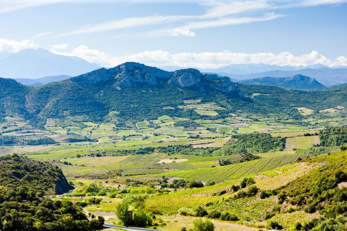 Languedoc-Roussillon: Scale, Reinvention, and the Long View