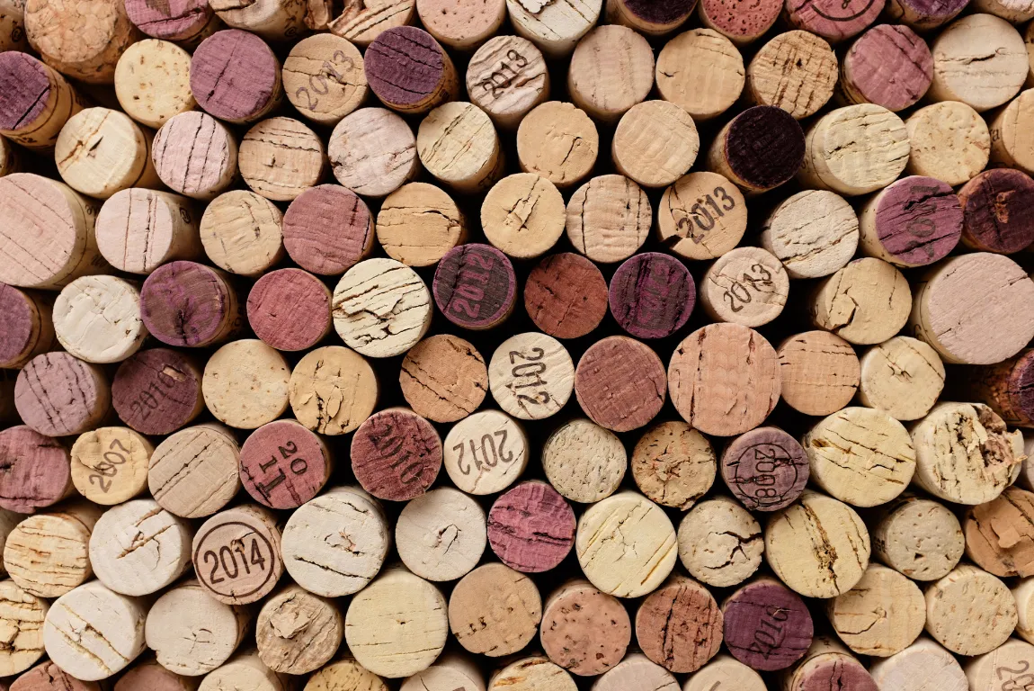 The Deep History of Wine in Southwest France
