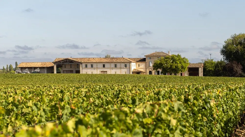 The Terroir – A Jewel of Pomerol