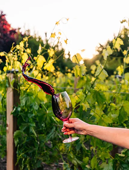 Learn why Bordeaux vineyards follow the rivers, how waterways shape soils, climate, and wine styles across the Bordeaux wine region.