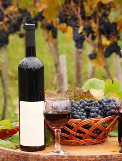 Learn which Bordeaux regions are best for drinking young and which reward long-term ageing, based on structure, soil, grape blends, and style.