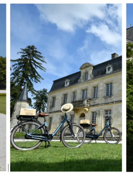 Discover why Bordeaux châteaux using the same grapes still produce radically different wines, shaped by terroir, decisions, and long-term intent.
