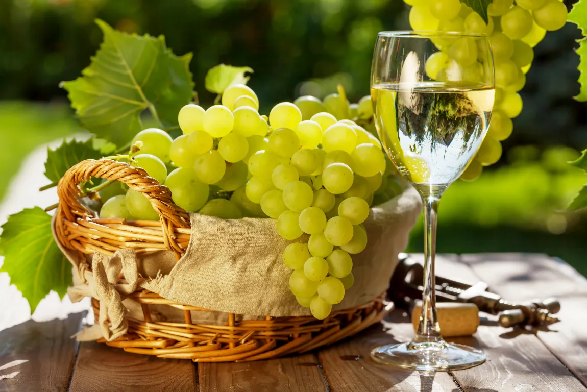 Tasting Notes: What You Might Experience