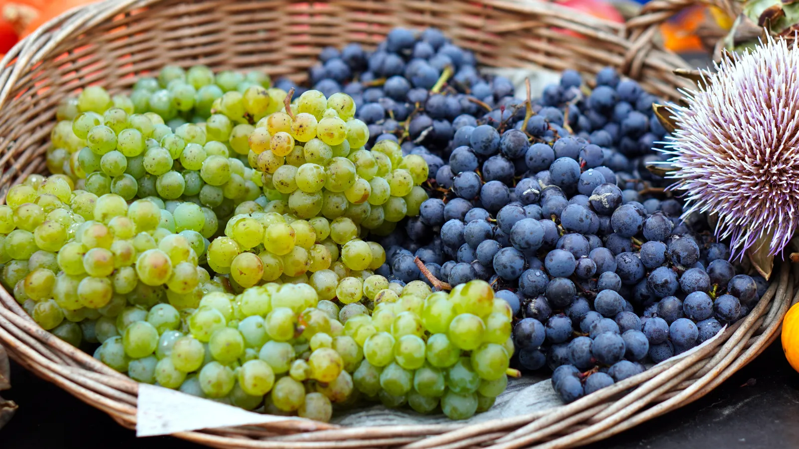 Grape Varieties and Classical Blending