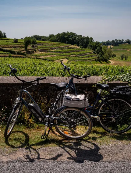 A wine-focused explanation of the Bordeaux wine route, showing how Left Bank and Right Bank wines connect through structure and history.