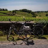 A wine-focused explanation of the Bordeaux wine route, showing how Left Bank and Right Bank wines connect through structure and history.