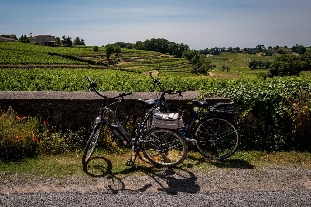 A wine-focused explanation of the Bordeaux wine route, showing how Left Bank and Right Bank wines connect through structure and history.