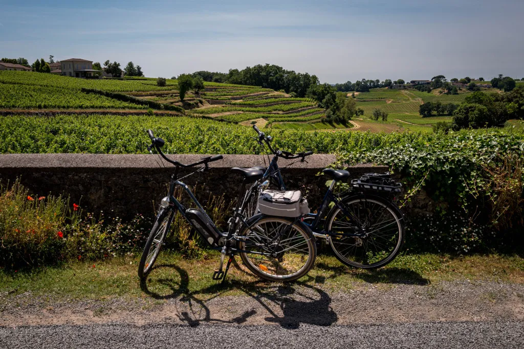 A wine-focused explanation of the Bordeaux wine route, showing how Left Bank and Right Bank wines connect through structure and history.