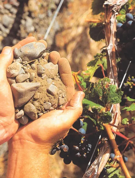 Explore how gravel, clay, and limestone soils shape Bordeaux wine styles, affecting texture, power, freshness, ageing potential, and château identity.