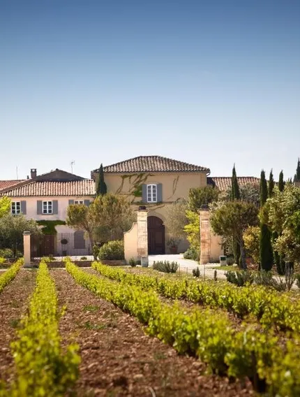 Explore what truly defines a Bordeaux château wine, from estate bottling and terroir to history, blending philosophy, and long-term ageing.