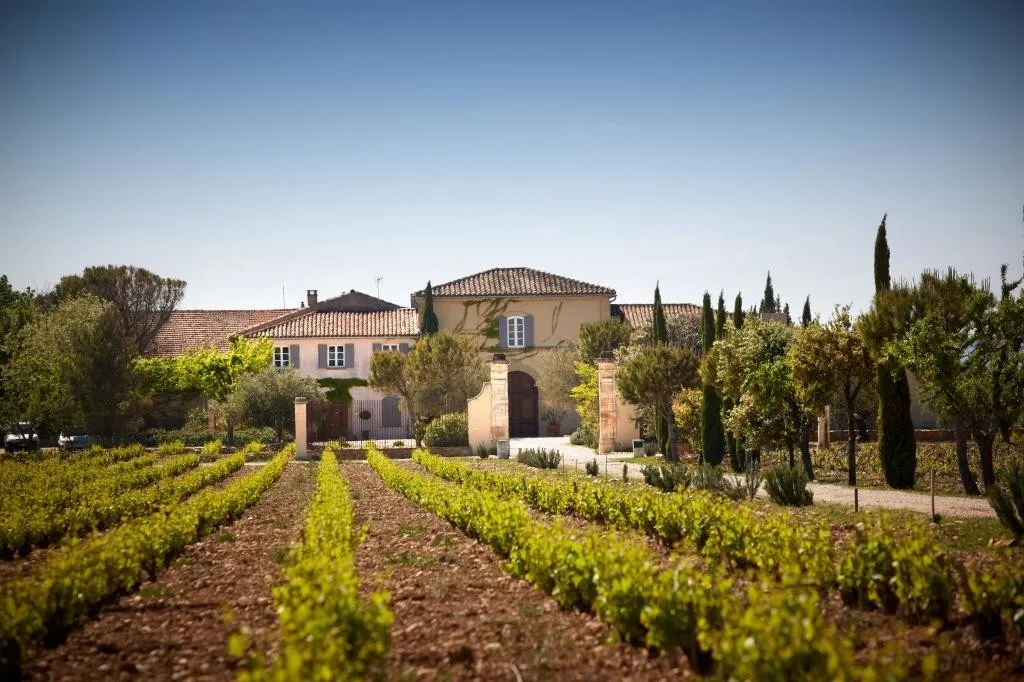 The Château as a Complete Wine Ecosystem