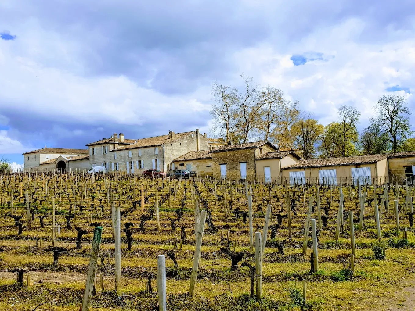 Terroir: The Gravel Exception Within Saint-Émilion