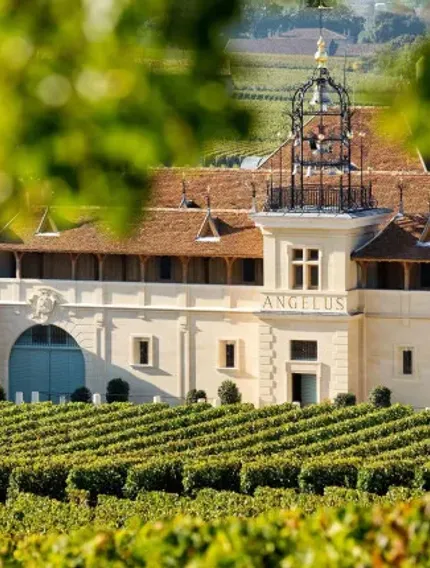 A detailed look at Château Angélus, the Saint-Émilion classification system, and the debate that reshaped Bordeaux’s Right Bank hierarchy.