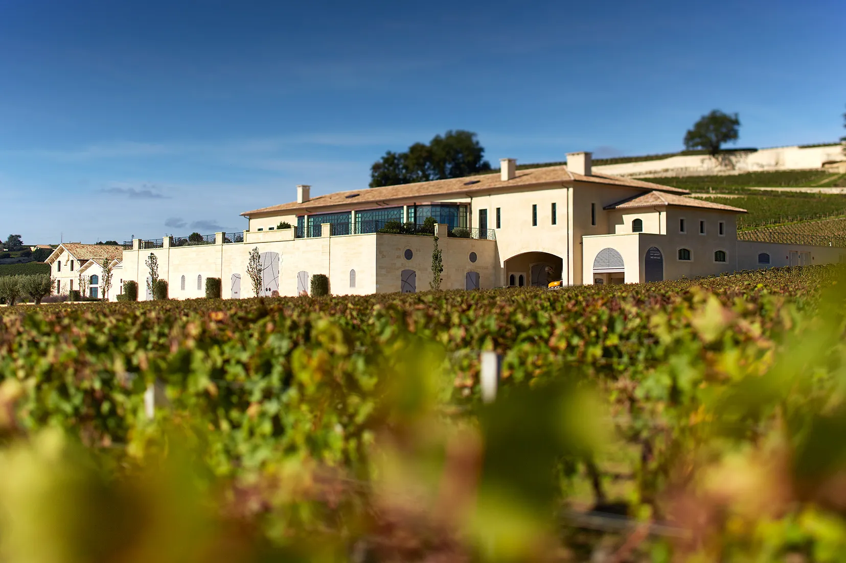 Visiting Ch&acirc;teau Pavie &ndash; Tours and Tastings