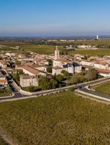 Discover Saint-Estèphe wines in Bordeaux, known for their powerful structure, clay-gravel terroir, and remarkable ageing potential in the northern Médoc.