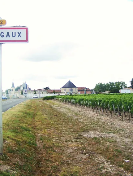 Explore Margaux wines, Bordeaux’s most elegant appellation. Discover gravel soils, Cabernet Sauvignon blends, historic châteaux, and ageing potential.