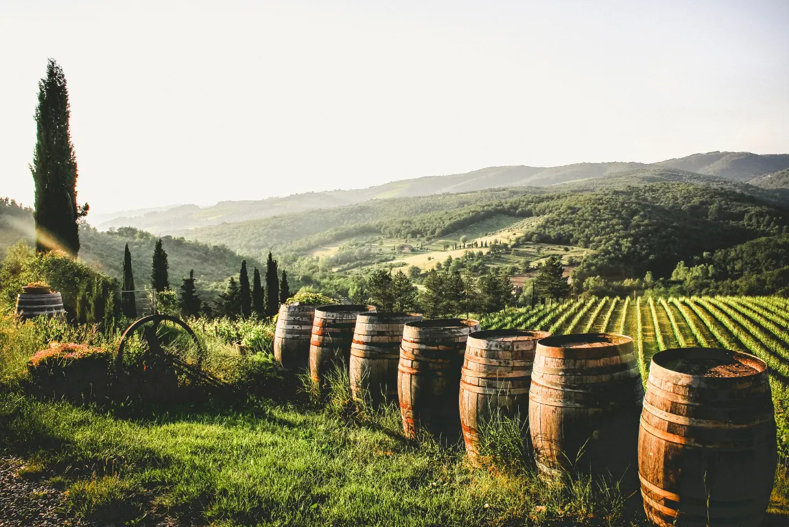 Rhône Valley: Dramatic Slopes and Wild Beauty