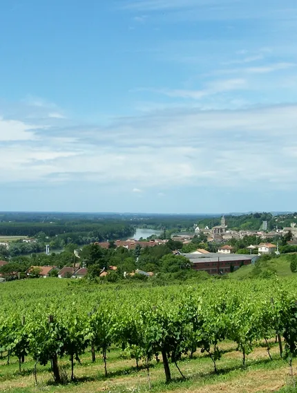 A wine-focused explanation of Entre-Deux-Mers, its terroir, wines, and role within the Bordeaux wine region.