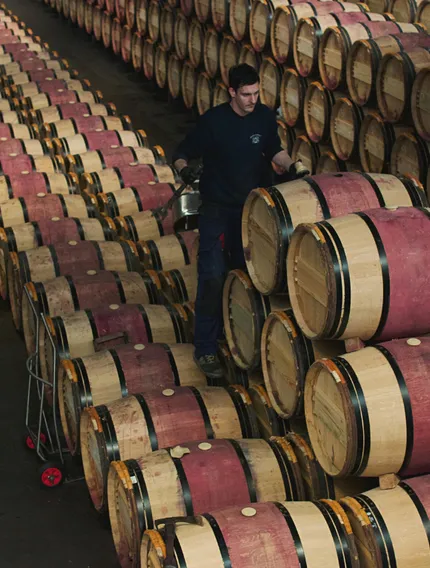 A deep explanation of why Bordeaux relies on oak barrels, how oak shapes flavour and structure, and why it remains essential to Bordeaux wines today.