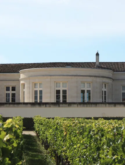 Discover Château Beau-Séjour Bécot, a Premier Grand Cru Classé estate in Saint-Émilion shaped by limestone terroir, Merlot dominance, and Bordeaux winemaking tradition.