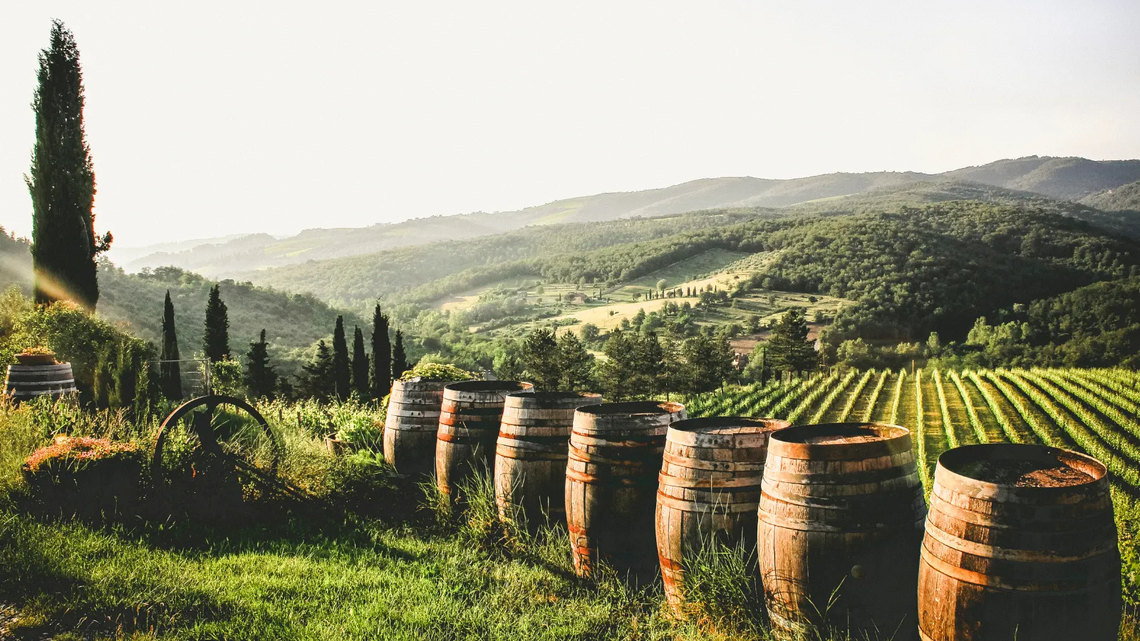 Sustainability as Economic Strategy