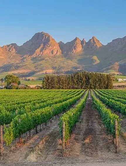 Explore France’s most iconic wine routes through terroir, appellations, and tasting logic, written for serious wine travellers.