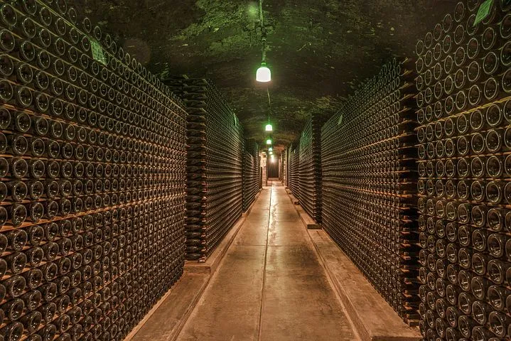 Why Pessac-Léognan Exists as Its Own Appellation