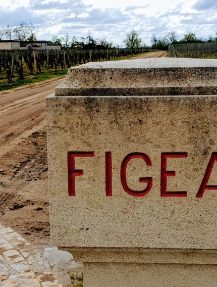 Explore Château Figeac’s terroir, history, and unique Cabernet-driven identity within Saint-Émilion and the Bordeaux wine region.