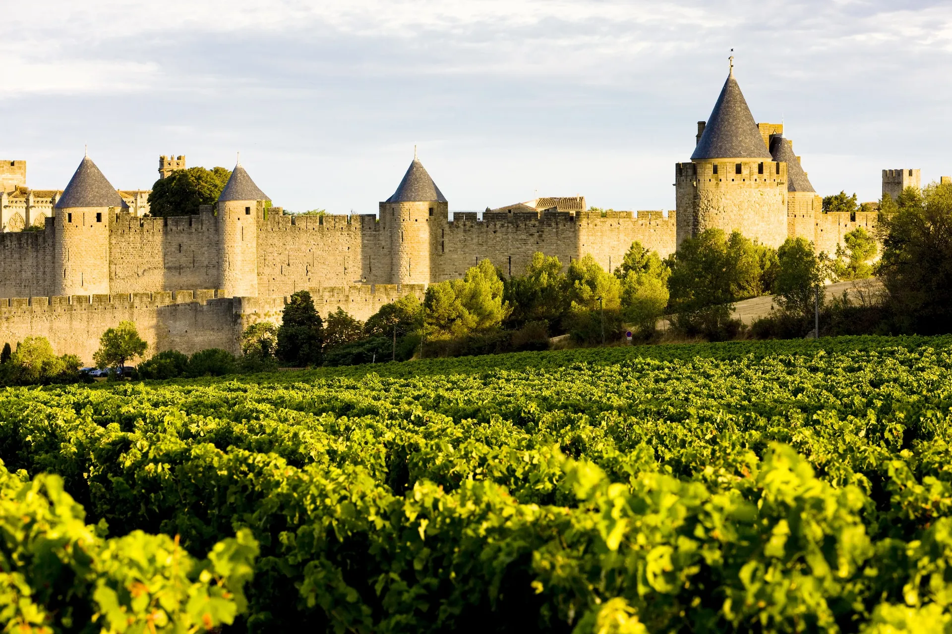 Bordeaux right bank