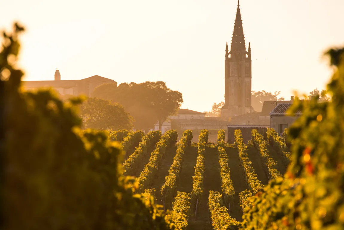 The Future of the Saint-Émilion Classification