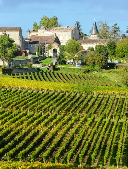 A deep comparison of Saint-Émilion and Pomerol wines, exploring texture, power, ageing, terroir, château styles, and why prices differ so sharply.