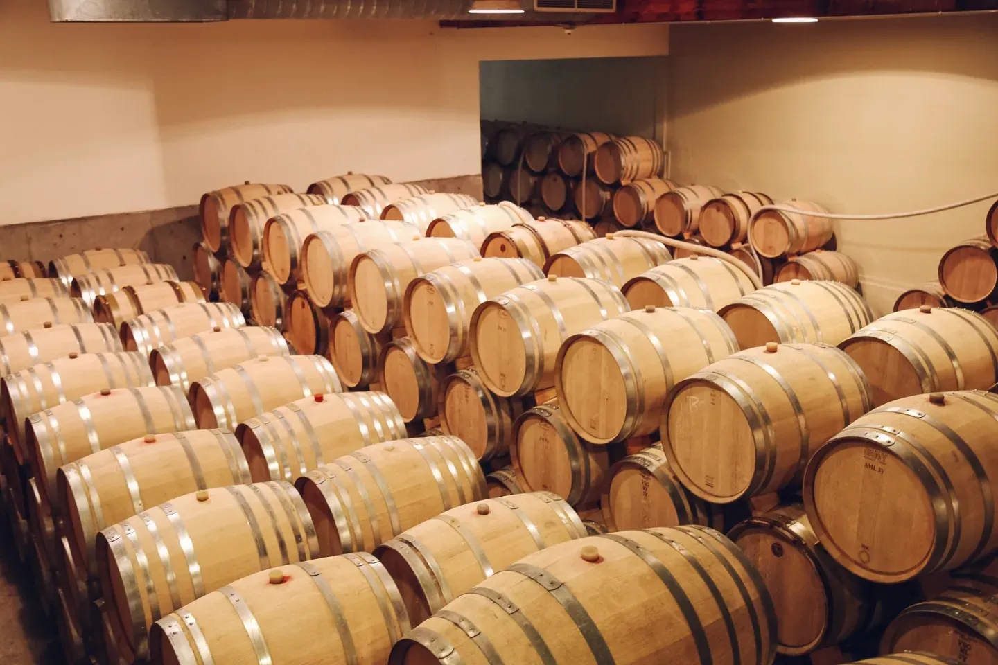 Oak in Bordeaux: A Historical Choice That Became a Philosophy