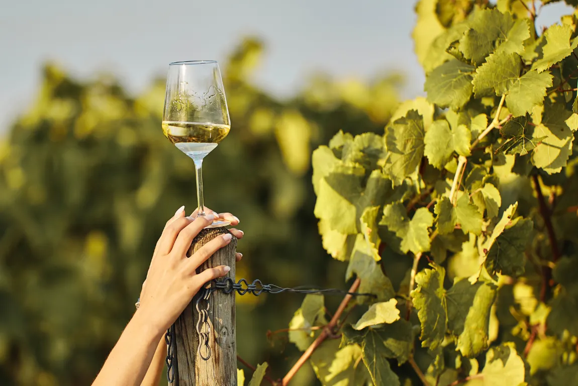 Appellations to Explore