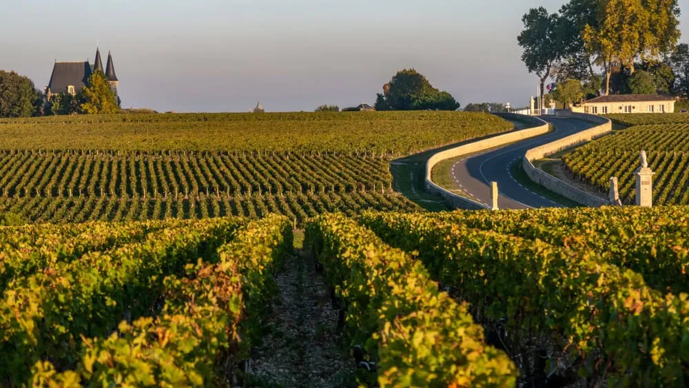 Bordeaux: Rivers, Banks, and the Architecture of Power