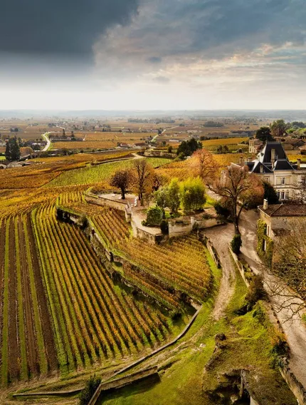 Château Ausone is one of the most legendary names in Bordeaux, admired for its history, small size, and extraordinary wines.