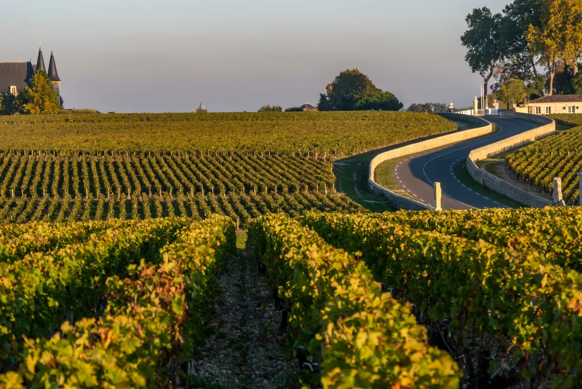 Bordeaux: A Vintage Balancing Change and Continuity