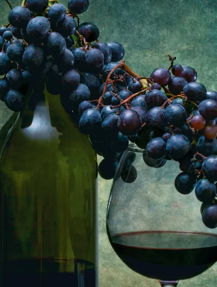 Explore the science of tannins, how they shape Bordeaux wine texture, and why some wines feel velvety