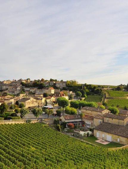A deep exploration of Saint-Émilion wines, revealing how soil, structure, blending, and ageing create radically different styles within one appellation.